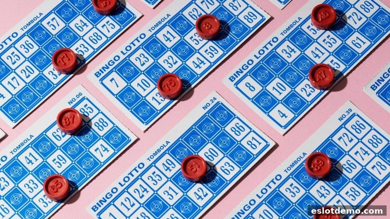 电子游艺试玩：彩票单双号组合的实战策略与理性解析