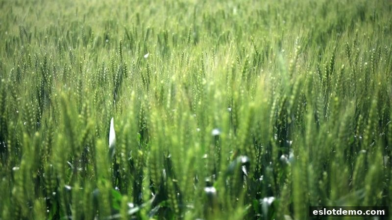 电子游艺试玩：TTG每日返现福利深度解析与玩法指南