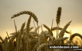 电子游艺试玩新手福利：新注册玩家红包政策全解析