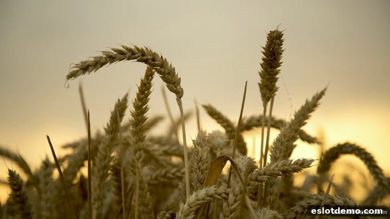 电子游艺试玩新手福利：新注册玩家红包政策全解析